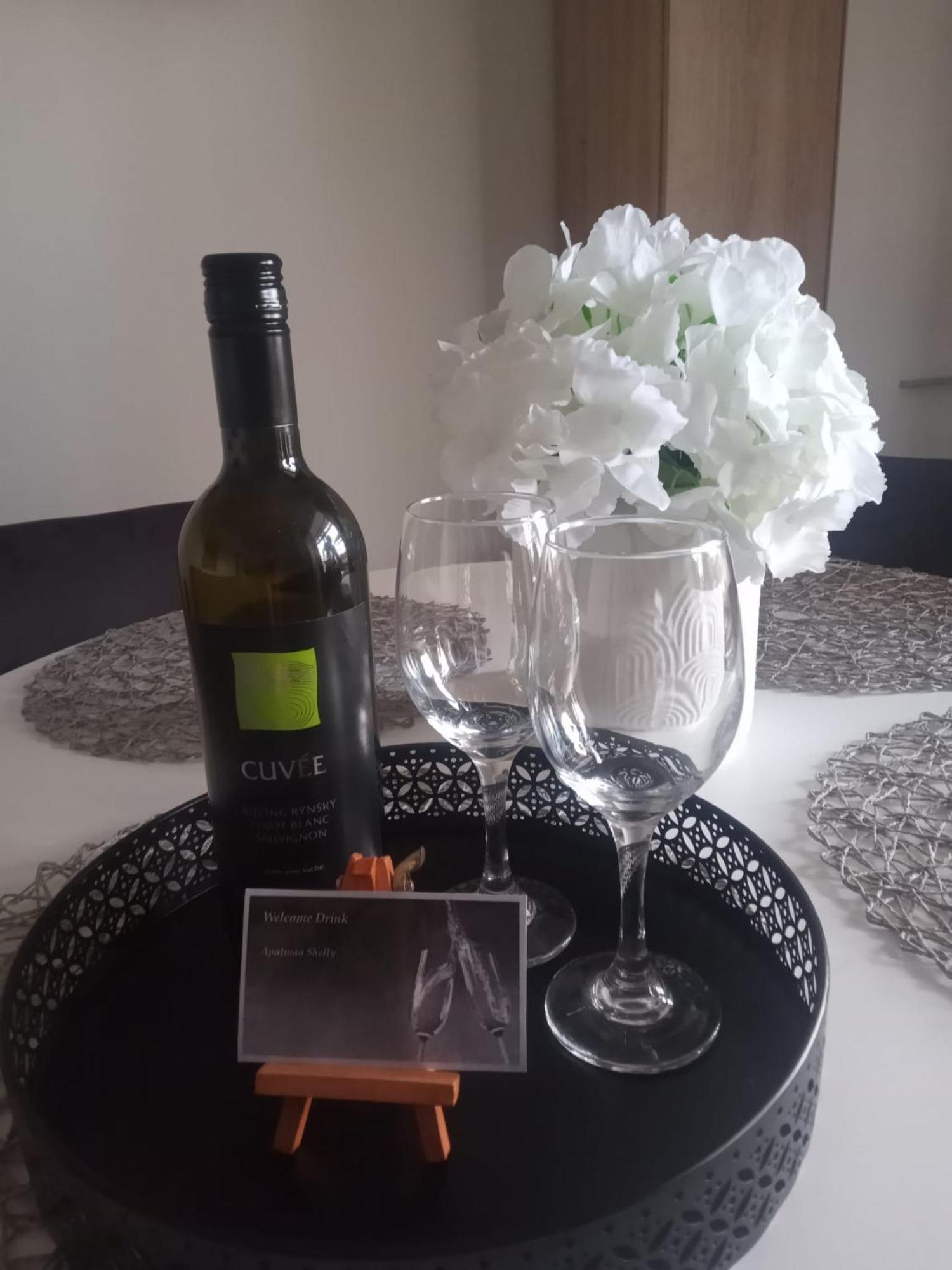 Vlachy Apartman Shelly מראה חיצוני תמונה